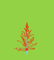 greenshift tree