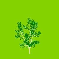 greenshift tree