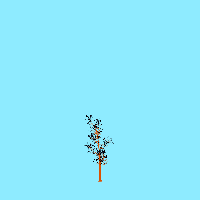 greenshift tree