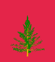 greenshift tree