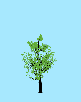 greenshift tree
