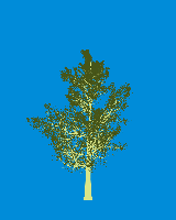 greenshift tree