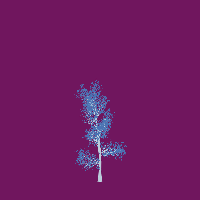 greenshift tree
