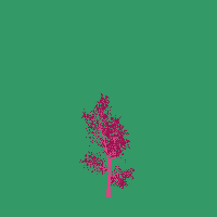 greenshift tree