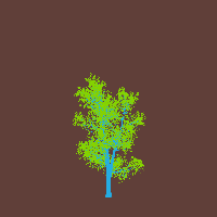 greenshift tree