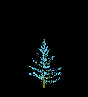 greenshift tree
