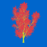 greenshift tree