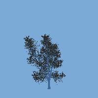 greenshift tree
