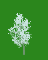 greenshift tree