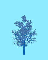 greenshift tree