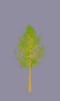 greenshift tree