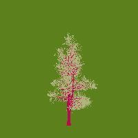 greenshift tree