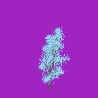 greenshift tree