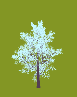greenshift tree