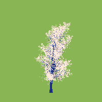 greenshift tree