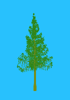 greenshift tree