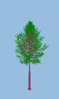 greenshift tree