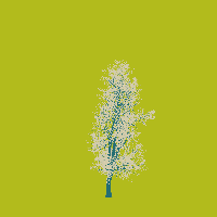 greenshift tree