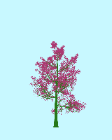 greenshift tree