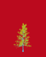 greenshift tree