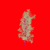 greenshift tree