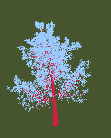 greenshift tree