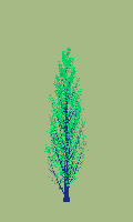 greenshift tree