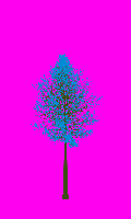 greenshift tree