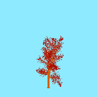 greenshift tree