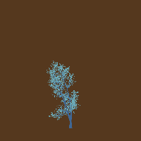greenshift tree