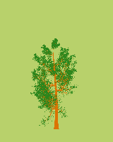 greenshift tree