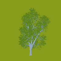 greenshift tree