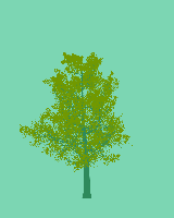 greenshift tree