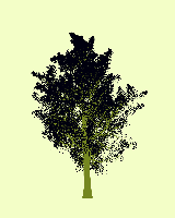 greenshift tree