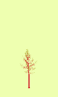 greenshift tree