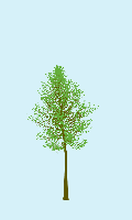 greenshift tree