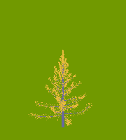 greenshift tree