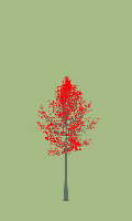 greenshift tree