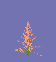 greenshift tree