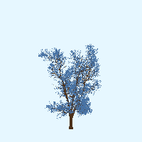 greenshift tree