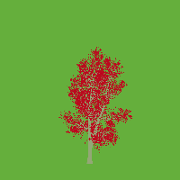 greenshift tree