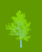 greenshift tree