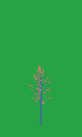 greenshift tree