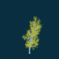 greenshift tree