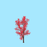 greenshift tree