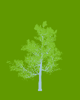 greenshift tree