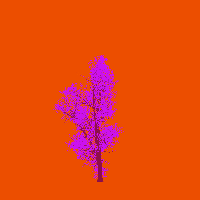 greenshift tree