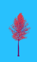 greenshift tree