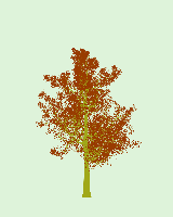 greenshift tree