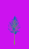 greenshift tree